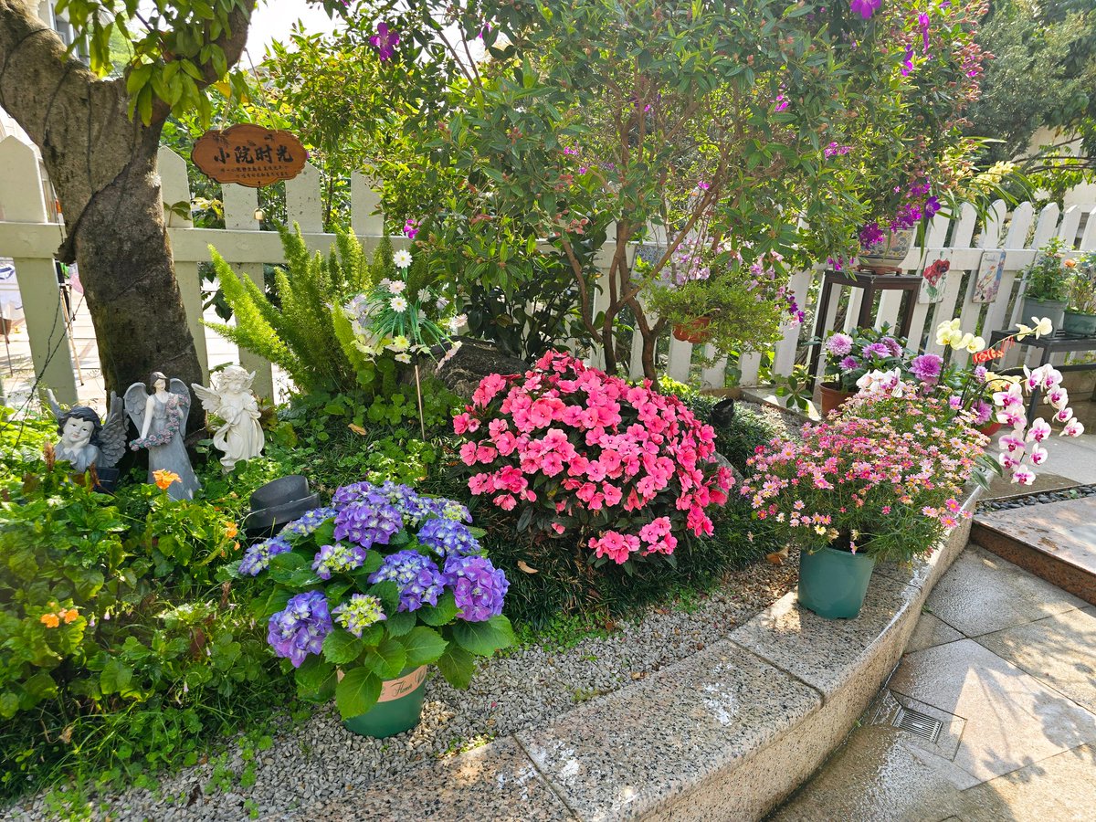 Leeyul79964441's tweet photo. 本周六下午2点，小区花园绿植市集等你来！以花会友、换闲置绿植，还能领多肉小盆栽，快约邻居来凑热闹～ https://t.co/0GMF0nvQqf