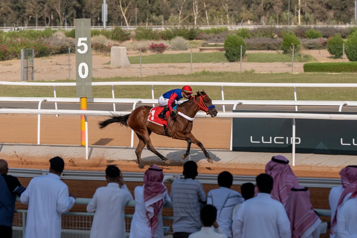 horsesnewsnet's tweet photo. حماس في المدرجات 
وحضور جماهيري كبير
من محبي سباقات الخيل في 
#موسم_سباقات_الطائف على
ميدان الملك خالد
وسط منافسات كبيره 
إلى جانب الفعاليات المصاحبة 
وأركان الضيافة 
التي أضافت تجربة ممتعة 
ومتنوعة للزوار.

#نادي_سباقات_الخيل https://t.co/sKDMYxvZOV