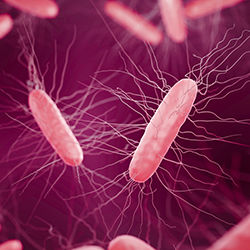 gastroendonews's tweet photo. C. diff isn’t just getting easier to detect—it’s getting easier to overdiagnose. Experts at IDWeek 2025 urge clinicians to rethink testing, resistance trends, and treatment strategies as CDI management rapidly evolves: https://t.co/67qrXktzt5 #IDWeek #Cdiff #GI https://t.co/kbU98H2r1k