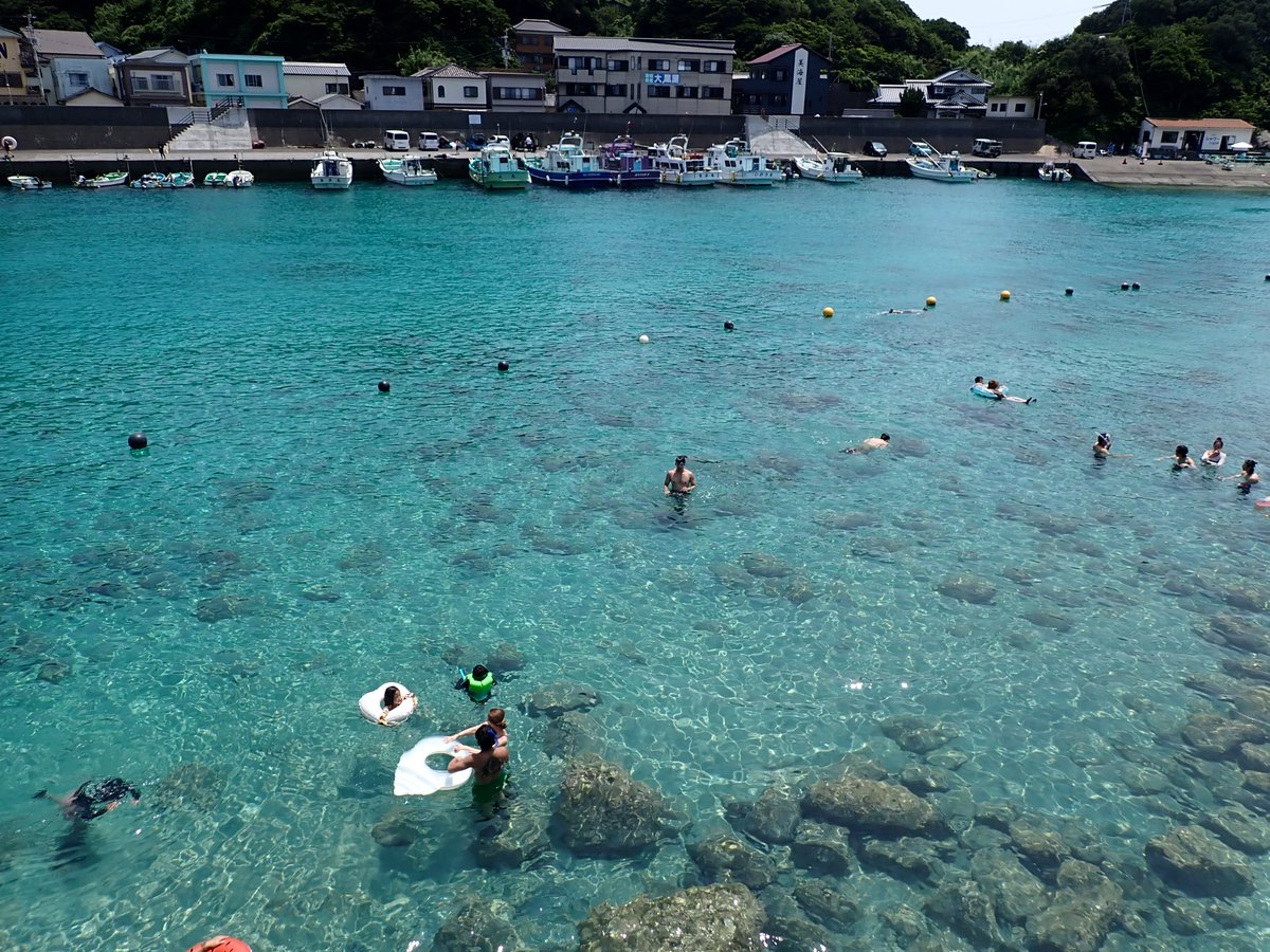 yojohan9's tweet photo. TLで柏島の写真流れてたのでちょうど先週行った時に撮ったやつ 
ガチのマジで海綺麗すぎるし普通にイルカいる🐬 https://t.co/HjLJV49CkP