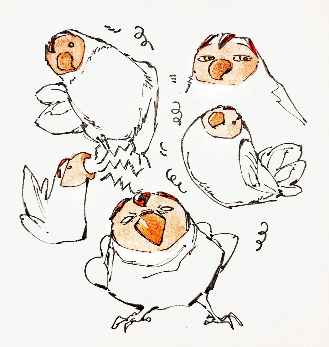 Funeralll_black's tweet photo. 鸡 https://t.co/iJSLKZ8GeJ