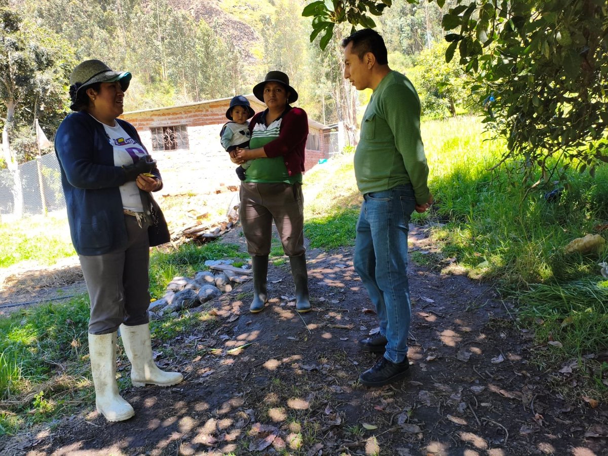Agricultura_CZ3's tweet photo. #Chimborazo | Impulsamos la Agricultura Familiar Campesina 🌱💧

Equipos #PRITEP y #Fomento levantaron diagnóstico en 4 fincas agroecológicas de Penipe, Riobamba y Guano.  
Diseño de riego tecnificado para fortalecer producción y uso eficiente del agua 🌾🤝
#GobiernodelEcuador https://t.co/IL7Te9G06O