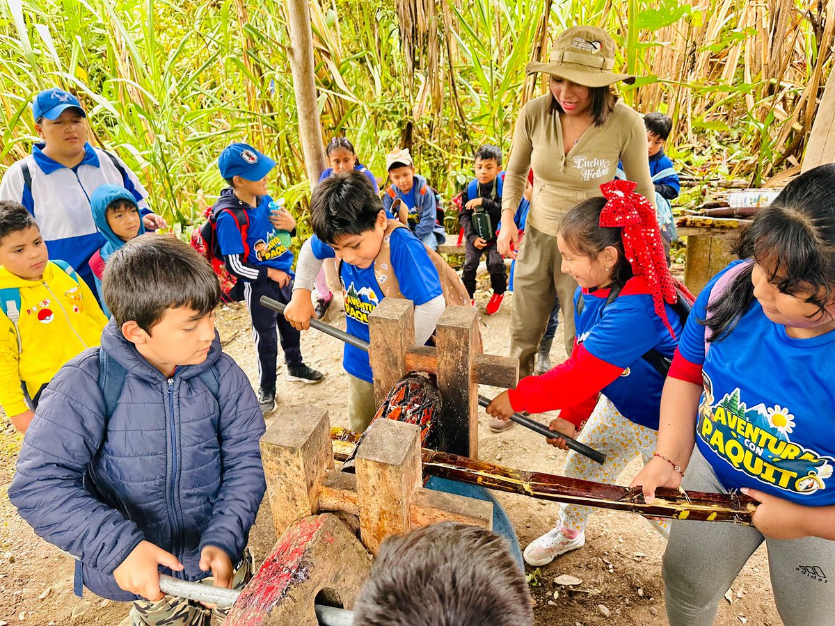 PoliciaEcZona2's tweet photo. #NAPO | CAMPAMENTO VACACIONAL “AVENTURAS CON PAQUITO”
Seguimos compartiendo momentos del campamento vacacional “Aventuras con Paquito”, que se desarrolla en los cantones #Tena y #ElChaco, donde niñas, niños y adolescentes viven jornadas de aprendizaje, recreación y convivencia junto a la #PolicíaEcuador, fortaleciendo valores, generando confianza y estrechando los lazos entre la institución y la comunidad.
#ServirYProtegerConFirmeza