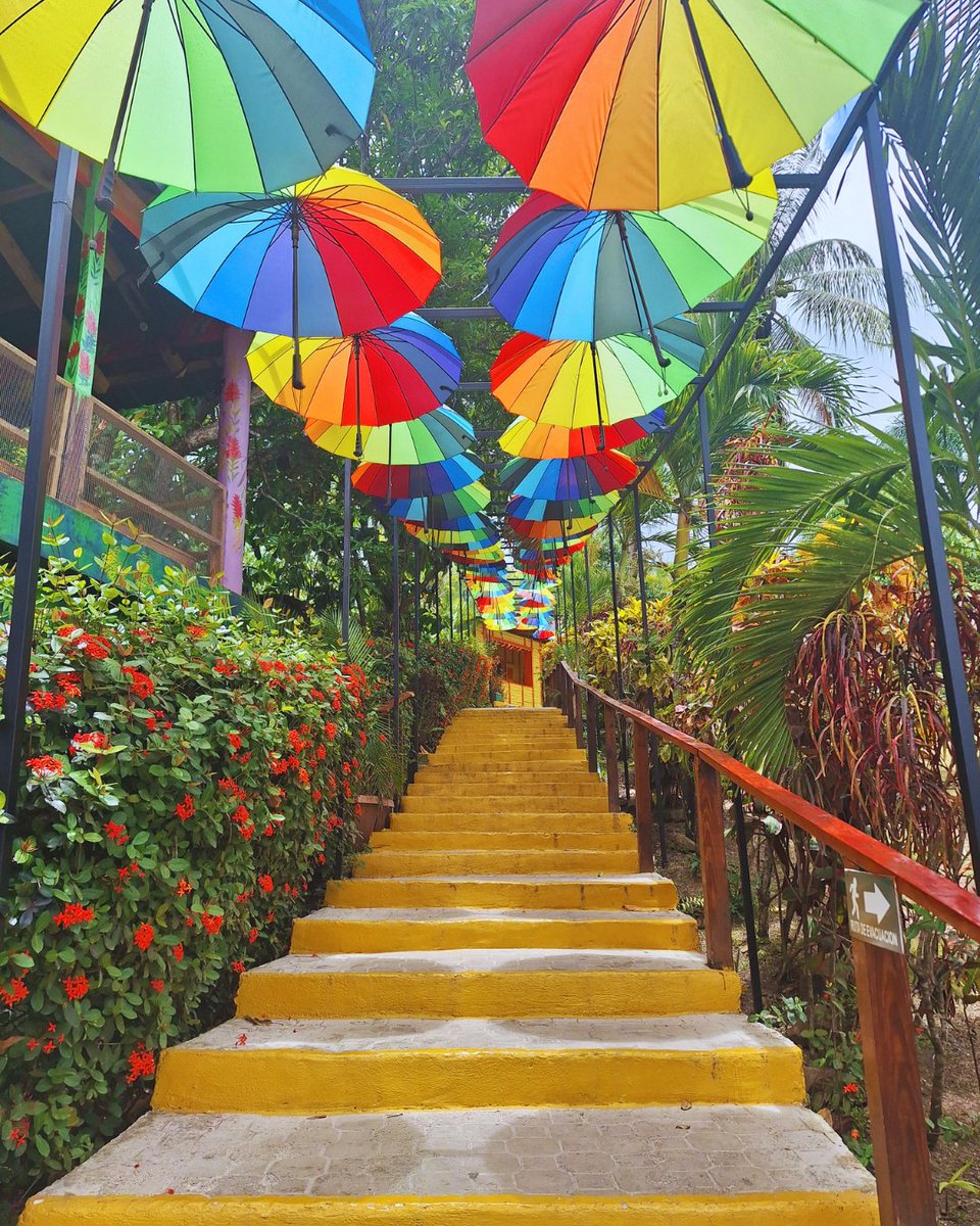 bavarorunners's tweet photo. A place you will love to visit! ❤
We love Casa Coco ️🏡
#zipline #buggies #monkeyland #runnersadventures #puntacana https://t.co/pem8BVeCOG