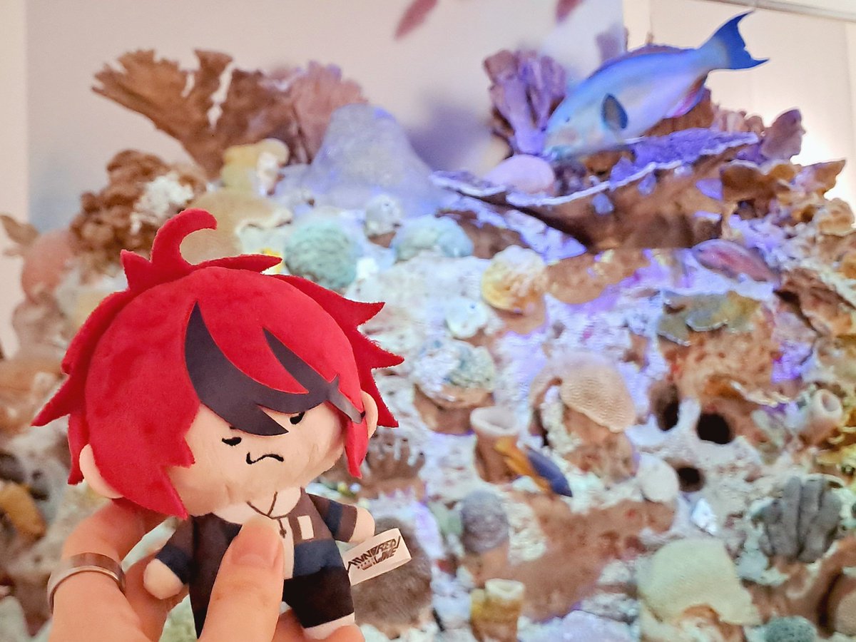 bijoubeanie's tweet photo. Some Takumi nui photos :> https://t.co/yTj7rRuUVD