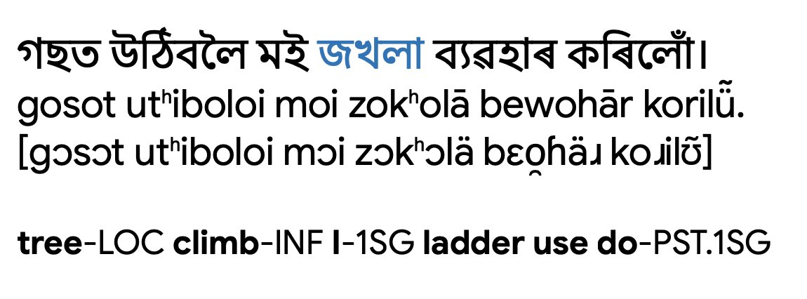 Konkanist's tweet photo. The #Assamese word for "ladder"🪜is «জখলা»  zokʰolā [zɔkʰɔlä], which is probably a borrowing from Bodo «জাংখ্লা» zāṅkhlā [zäŋkʰlä]; also cf. Rabha zāṅkʰlā, Dimasa yākʰlem, Kokborok yākʰrāi.

Lower Assamese: 
⊛ «জাখ্লা» zākʰlā
⊛ «জাখালা» zākʰālā https://t.co/10QvynUcQg