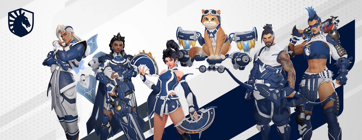 Overwatchニュース@おばにゅー в X: „【OWCSチームスキンまとめ
