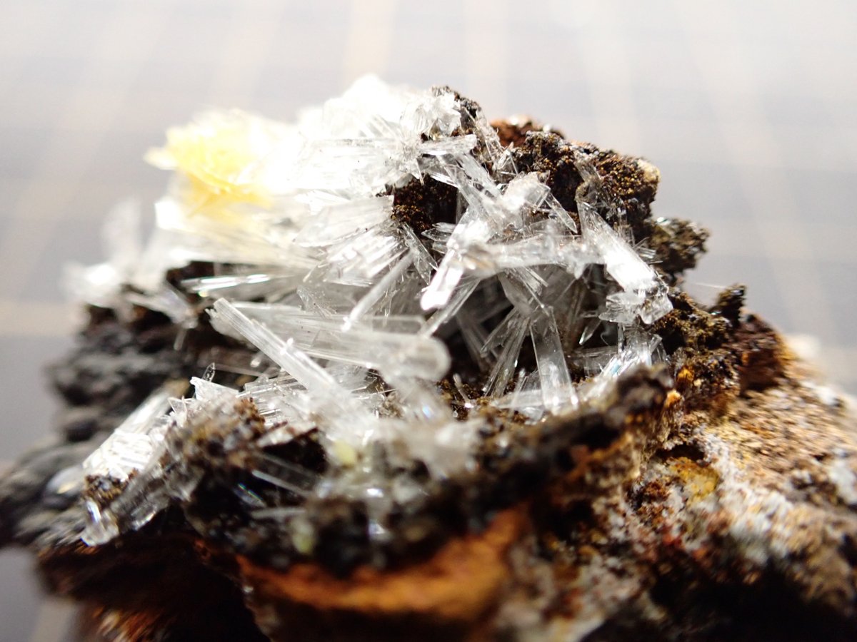 KT_GeologyClub's tweet photo. 管理番号未定：異極鉱
写真では大きいように見えるものの、実際は指先ほどしかない異極鉱の板状結晶です。ブドウ状結晶の方が一般的でしょうか。 https://t.co/LC6bCyq7ou