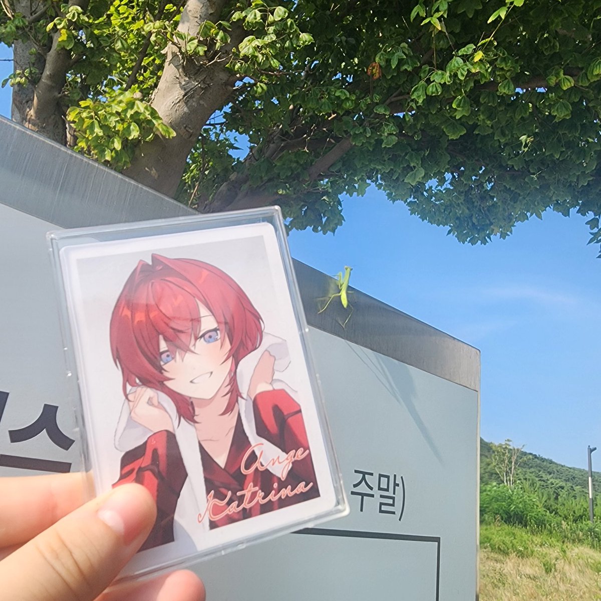 guli_2222's tweet photo. 바다갓다왓어요!! 더워가지고 사망할뻔 https://t.co/3TJFSVxWrV