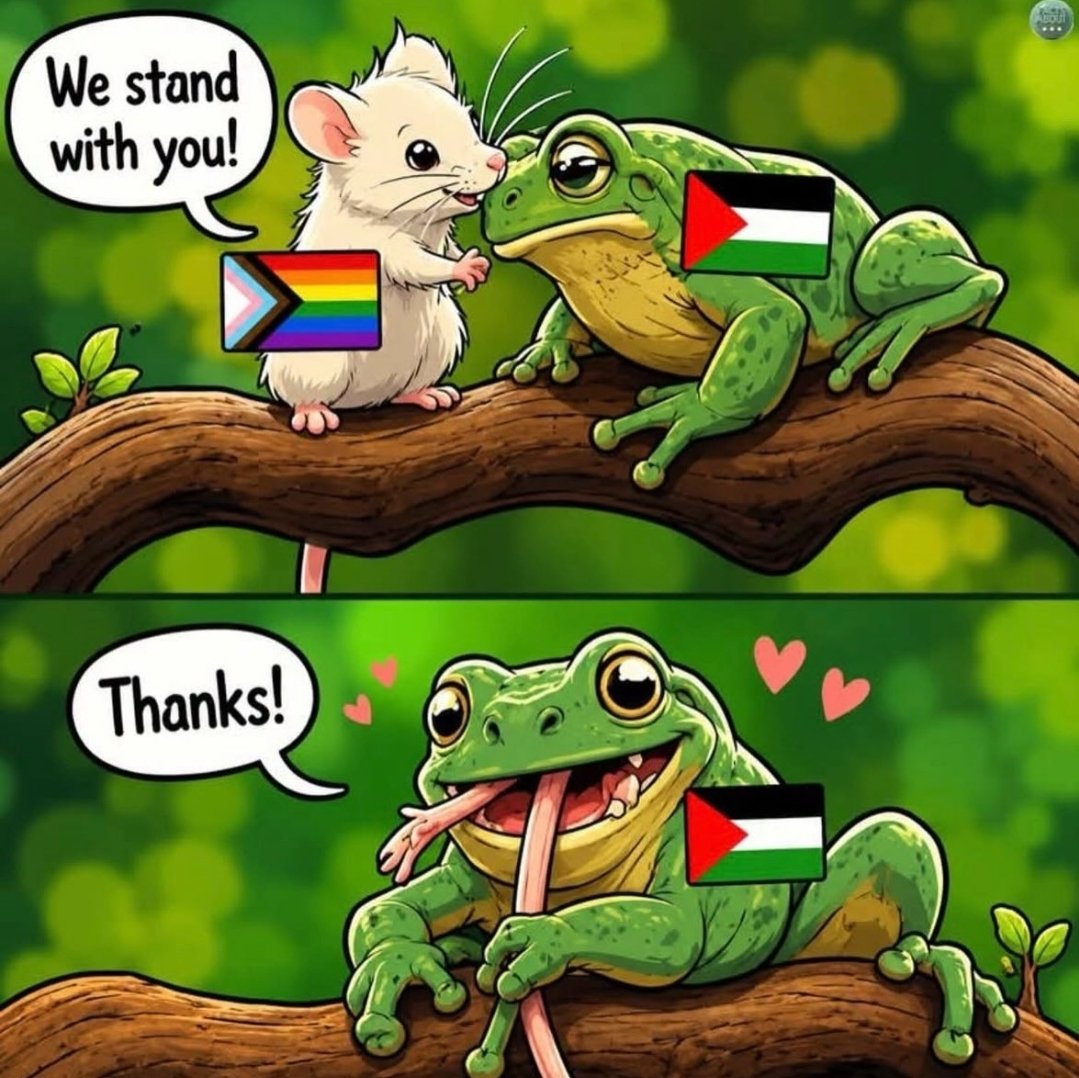 YisraelOfficial's tweet photo. ‼️‼️⏬️‼️‼️ https://t.co/viaCQ9M2j9