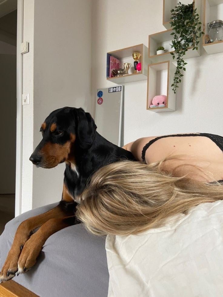 LadySonya40's tweet photo. Hey lovelies 🤭
Can you tell me the posture that makes you twitch so  we should do for our next video 🎭🐾🐶
My king is curious 👀 🌺
https://t.co/ibTwOeOUMT https://t.co/CvMRiGQwAL
