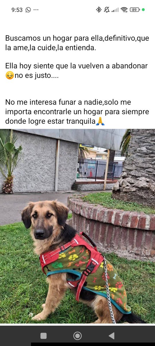 RefugioCaridad tweet picture