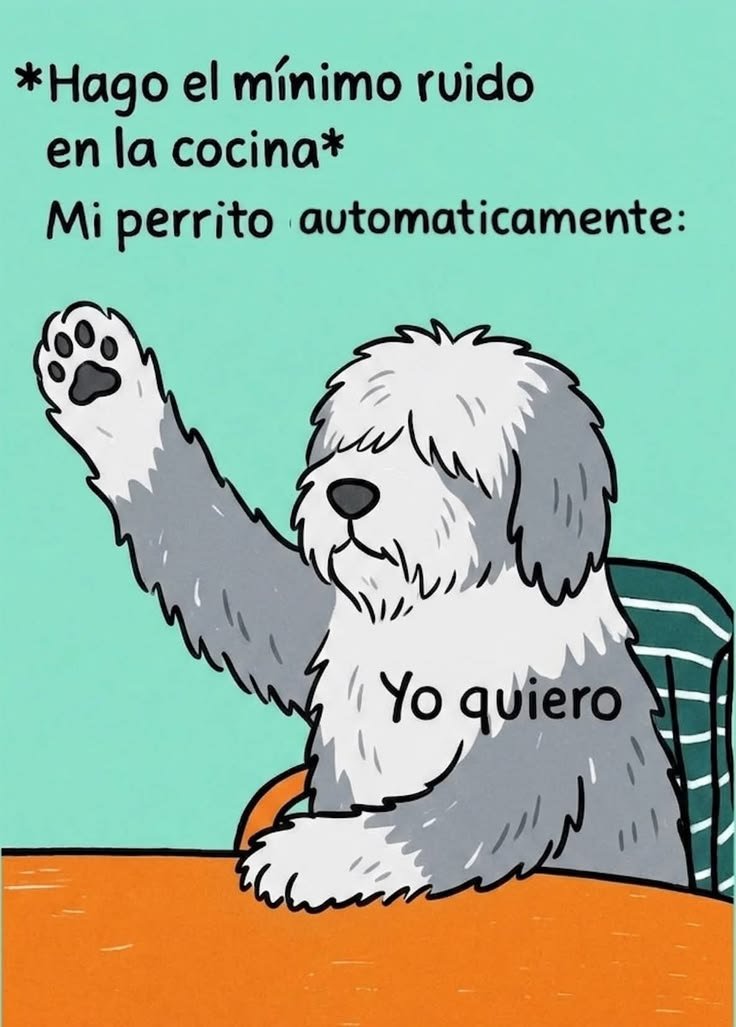 rey_latino33087's tweet photo. https://t.co/EgcVMTpqZU