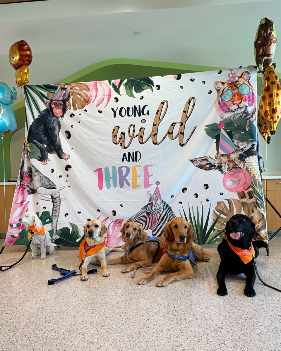 seattlechildren tweet picture