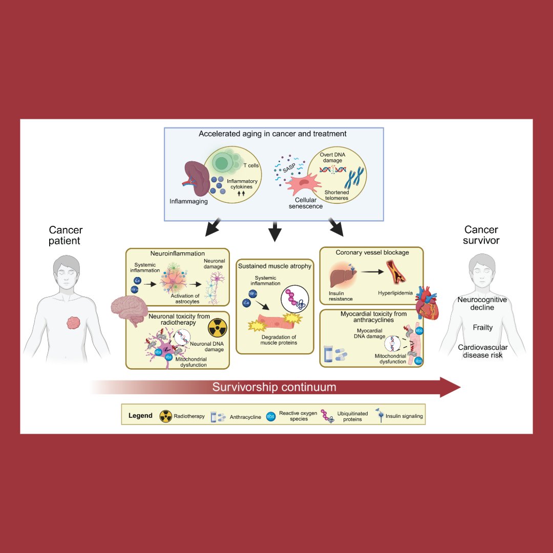 Genes & Development tweet media