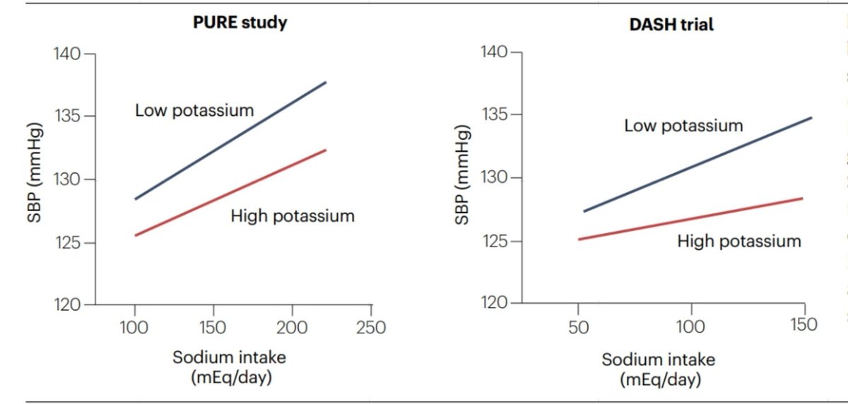 NefroHR01OCT's tweet photo. 🥑 Más potasio, menor presión arterial

🔻K⁺ activa WNK4–SPAK → ↑NCC → retención de NaCl → ↑PA

🔺K⁺ → reduce NCC apical → natriuresis ↓ sensibilidad a la sal ↓PA

 🚨No restringir de manera arbitraria la ingesta de potasio
 
10.1038/s41581-026-01099-5
#nature #nefro https://t.co/ZuI5HleHXx