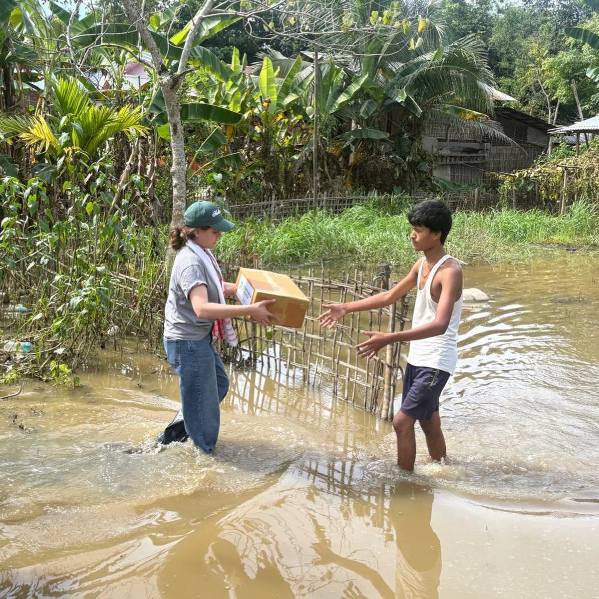 NirajPa75225724's tweet photo. provide in ananyabirla assam Flood https://t.co/z1TTab12tQ