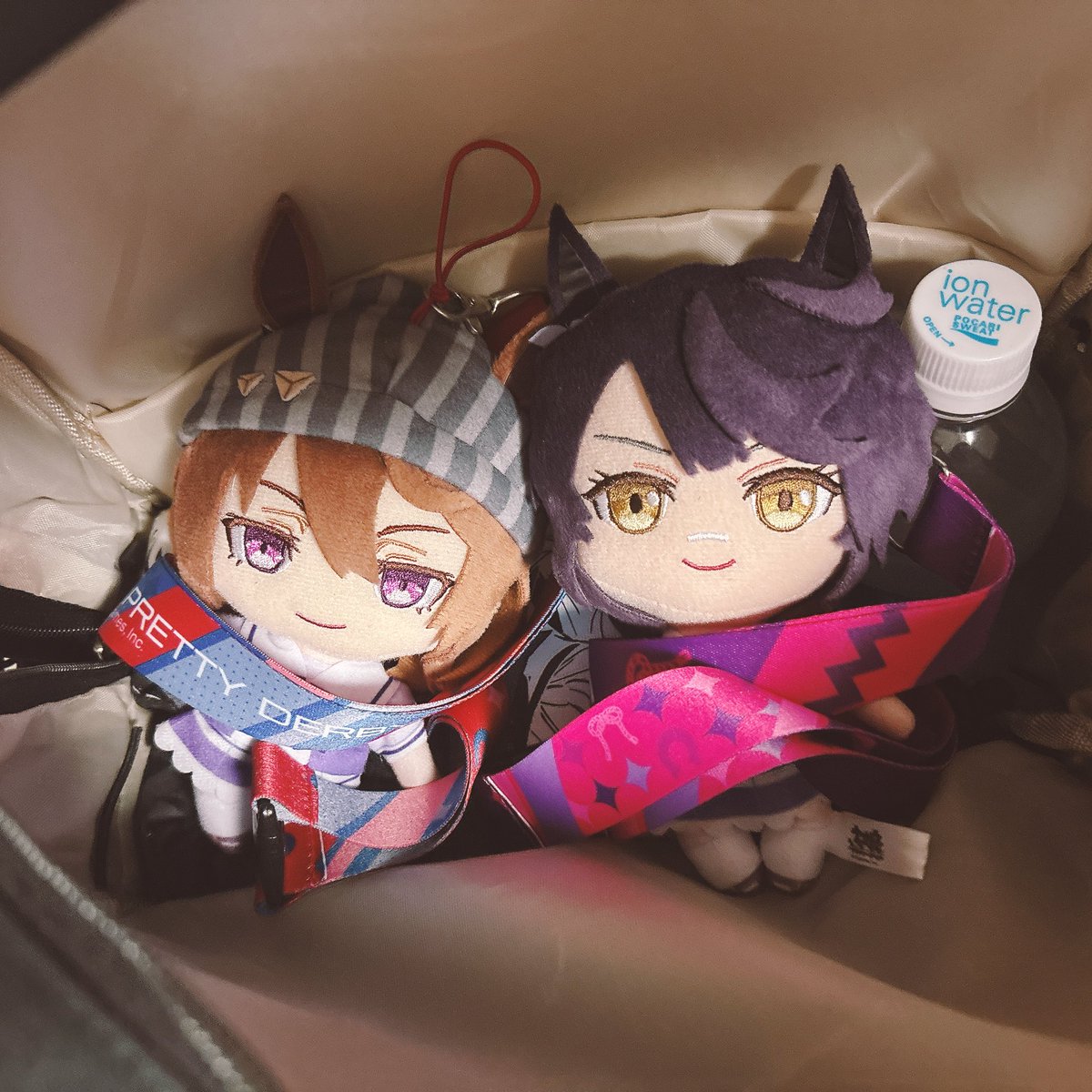 uatry515's tweet photo. ぬいとの思い出🧸 https://t.co/s6vUcbMh9R