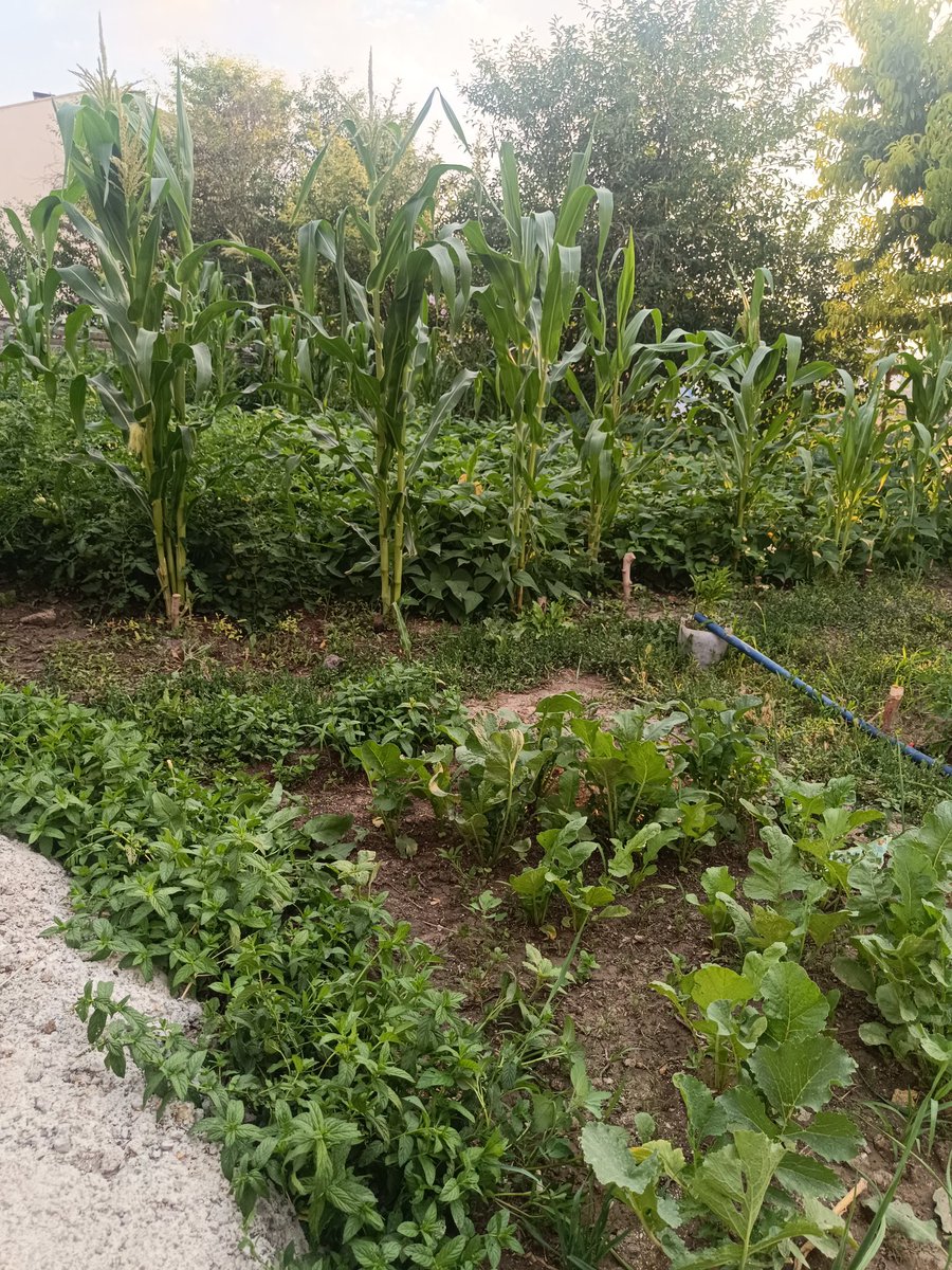 Ruveyda_124_'s tweet photo. 15 kişilik evden kendimi buraya atarak huzuru bulmuya çalışanzi kaçanziiiiiii https://t.co/CA6WN679Z7