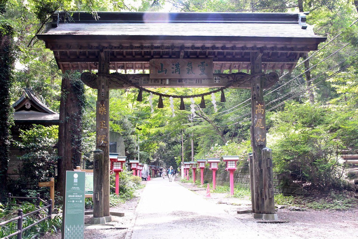 shonen17's tweet photo. 「霊氣満山」がキャッチフレーズの高尾山。古よりつづく杉苗奉納の習わしによって、令和のいまも山内の風致は保たれている。 https://t.co/ZnZieSEqZD