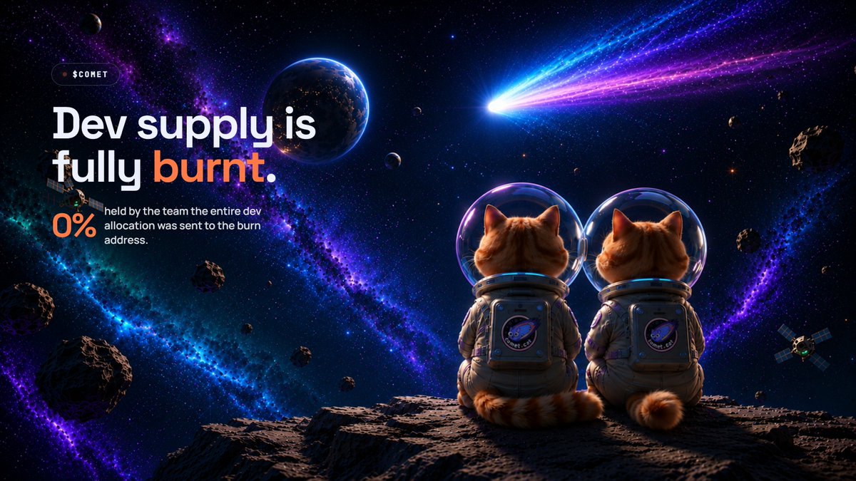 cometdotcat's tweet photo. Dev supply: burnt. 0% held by the team. https://t.co/ntXPpDZGHX https://t.co/jGAFQs0ThW
