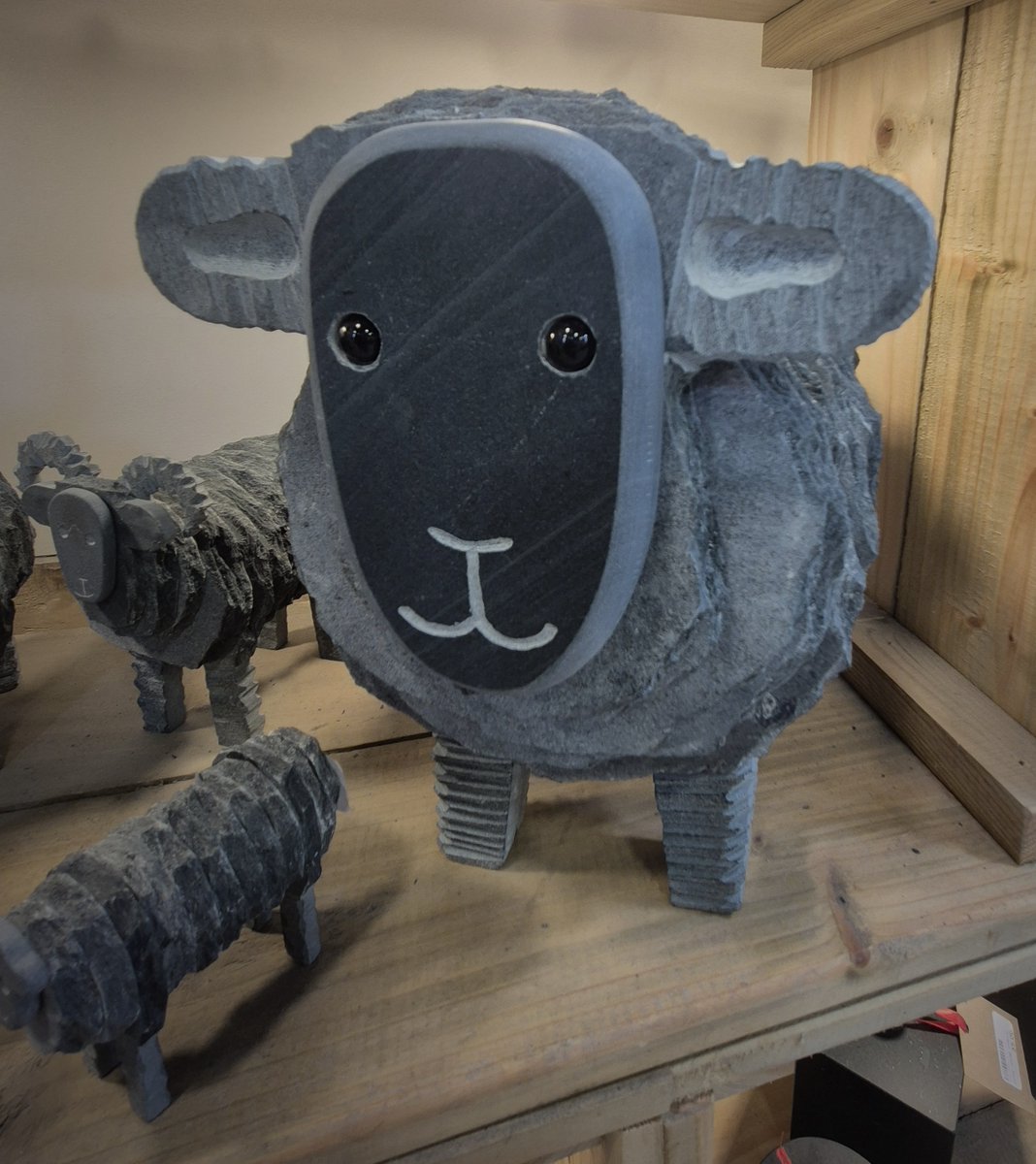 honisterdotcom's tweet photo. One of our lovely large Herdwicks is on her way to her forever home today

#slatesheep #LakeDistrict #friendsofthelakes #hillfarms https://t.co/3MmXy0owcJ