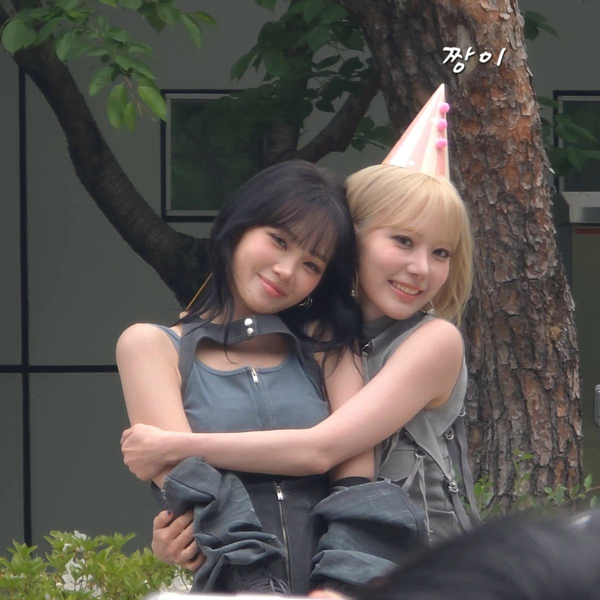 sakuminizone's tweet photo. キムチェウォンに幸あれ
#여름의인트로_김채원 https://t.co/xJL6d7K2FD