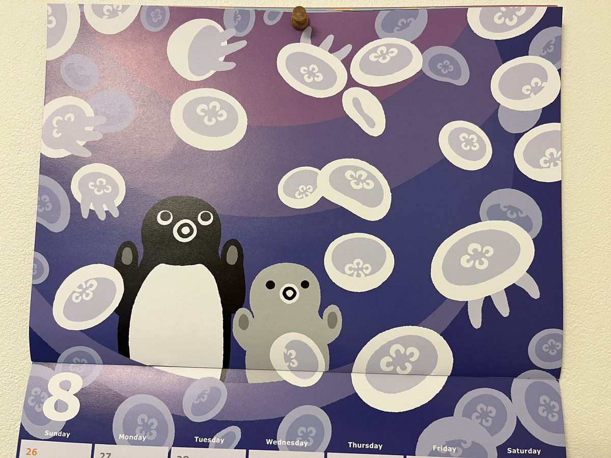8月はクラゲさん🐧🪼