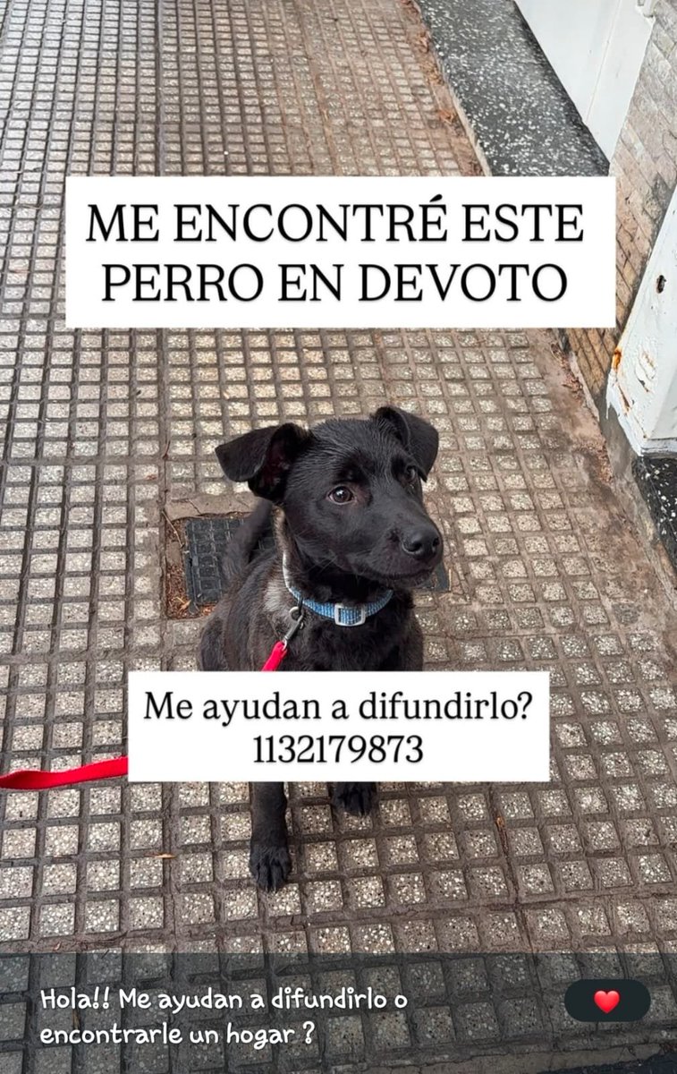 patripeyrou's tweet photo. Rt
Difundimos https://t.co/DkOTAuZVun
