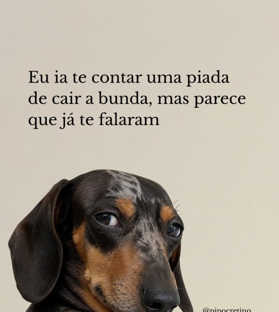 MarciaMickaella's tweet photo. https://t.co/VpibGMUZOm