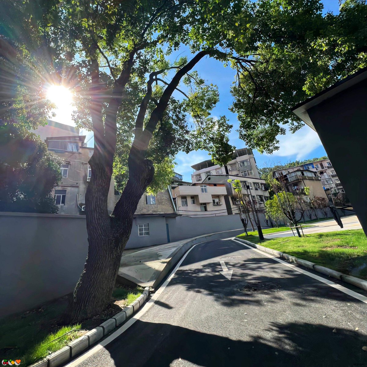 CromwellCy48202's tweet photo. 💖灌肠😄玉足🌈网调🥰维密圈😃白丝🌟白幼瘦😀白虎🤗红绿灯👍绿帽🌟绿帽奴🤗麻豆😃萝莉🍀蜜桃臀💯调教🤩颜射🎉馒头B😀榨汁机✨健身✨曝光💝远程控制

企鹅裙：1818089
X：@zhien52000
飞机：zuoyi1v1
裸聊/连麦/文爱/调教/寸止 https://t.co/jWXsExMlqz