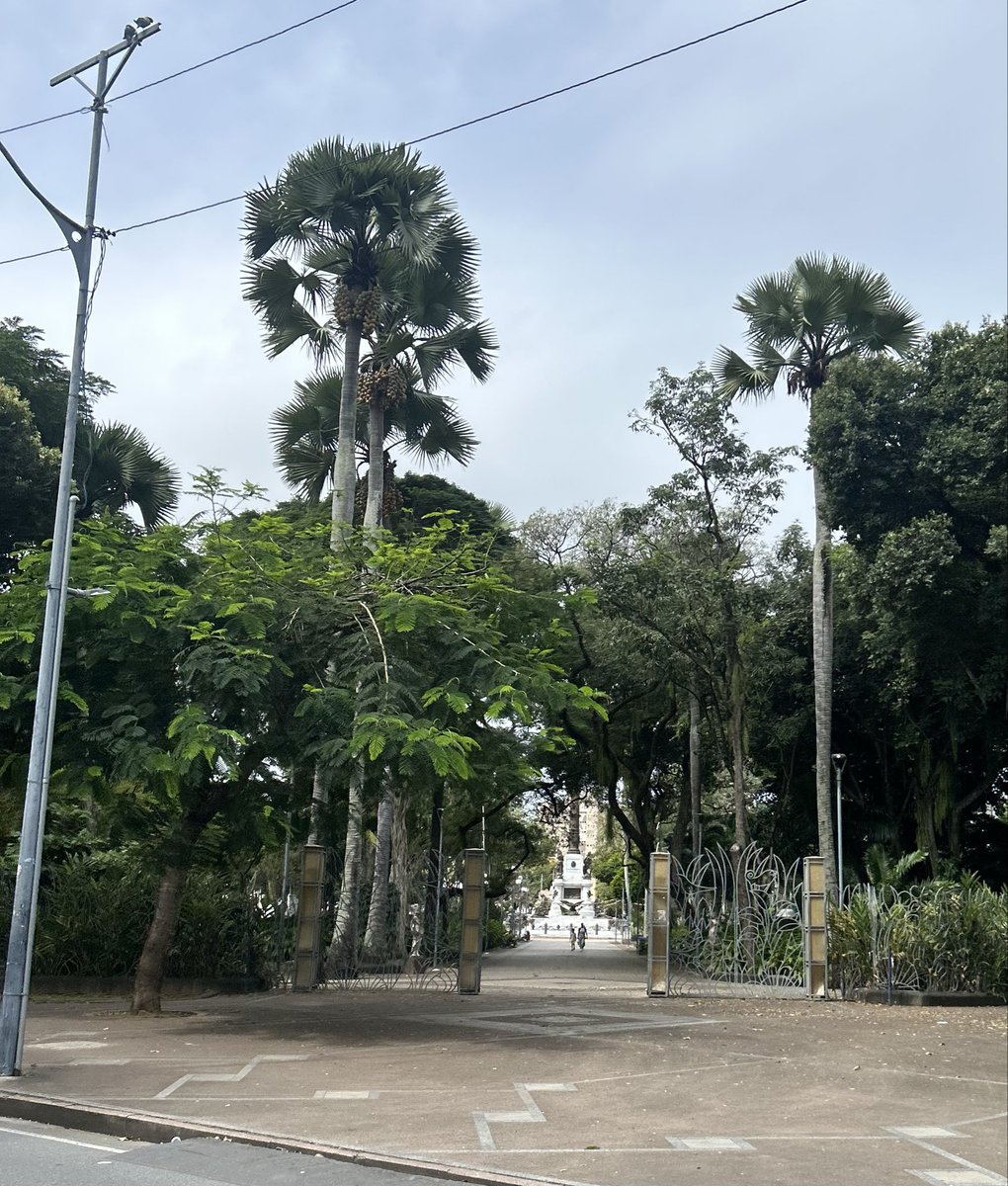 gabrielSSAg's tweet photo. Alguém pela região do Campo Grande livre agora??? https://t.co/5EFqi90QJ5