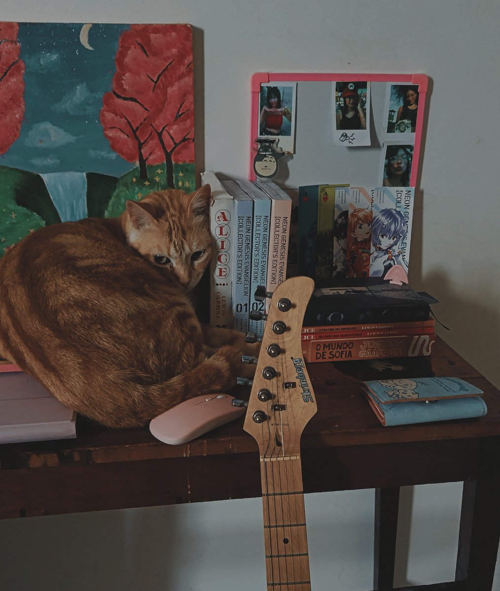 mand9fr's tweet photo. manga e gato laranjo https://t.co/kueGUi1OGK