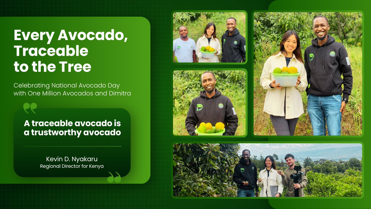 dimitratech's tweet photo. #NationalAvocadoDay is really about the people who grow it.
In Kenya, smallholder farmers work with One Million Avocados on Dimitra's Connected Farmer platform, where RWAs record avocado trees for pest prevention and traceability, the same data that gives $DMTR its utility.
Here's to the farmers behind every avocado. 🥑
$DMTR #Avocado #NationalAvocadoDay #DMTRTeam #DíaNacionalDelAguacate