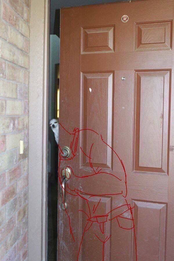twaniimals's tweet photo. https://t.co/raT6VmHS5M
