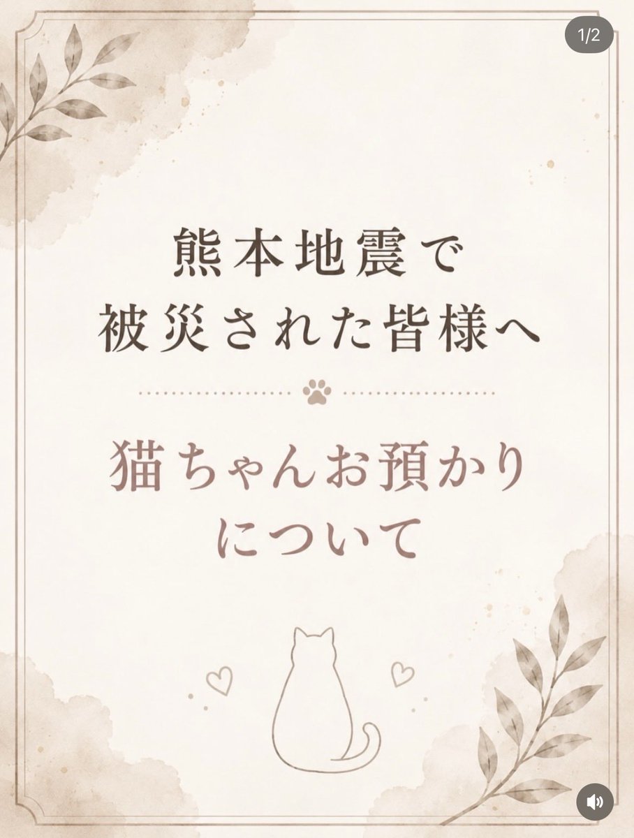 The_Darenogare's tweet photo. 福岡で猫ちゃん預かりやってます。
保護猫カフェ　ぷここん家　

#拡散希望 https://t.co/niNsJbFLew