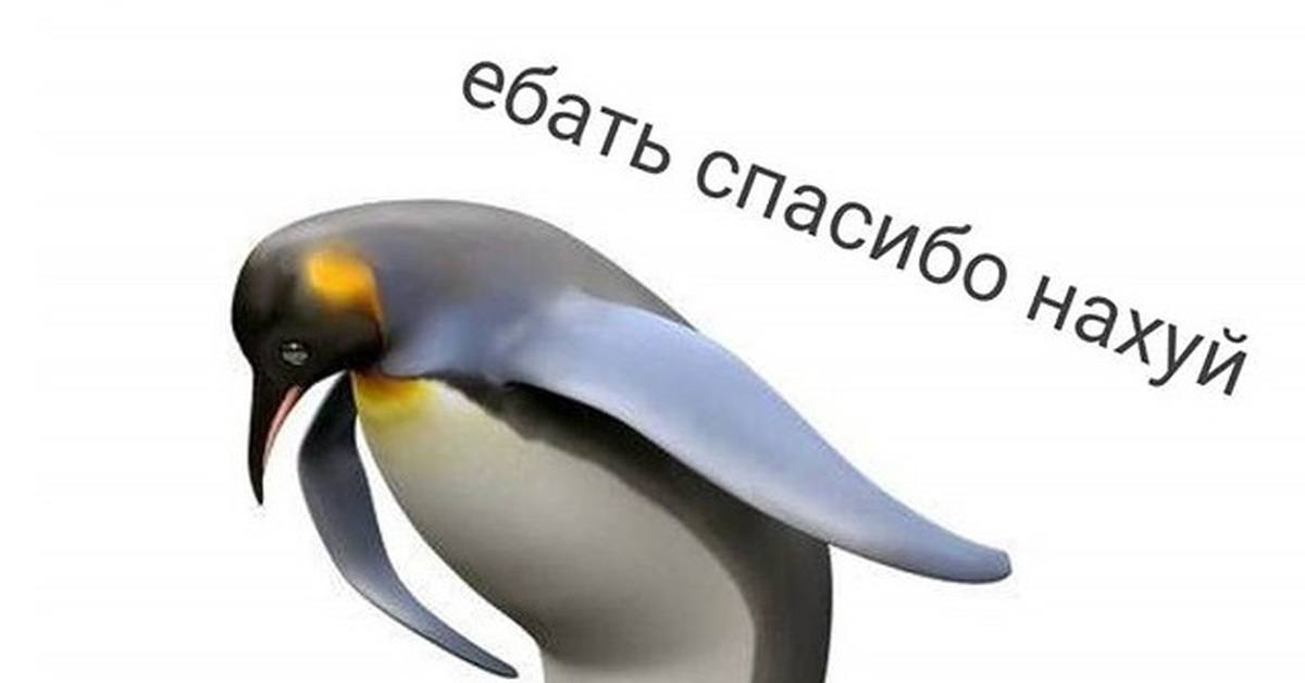 mirova_15's tweet photo. И чё это за огрызки на полторы-две минуты
С первого реплея прошло сколько? 4 года? И это всё что они смогли дать за это время? А Минхо даже сольную песню не смог записать новую? Эта та же лимбо что и 4 года назад 🤡 https://t.co/KZibW9vNqC