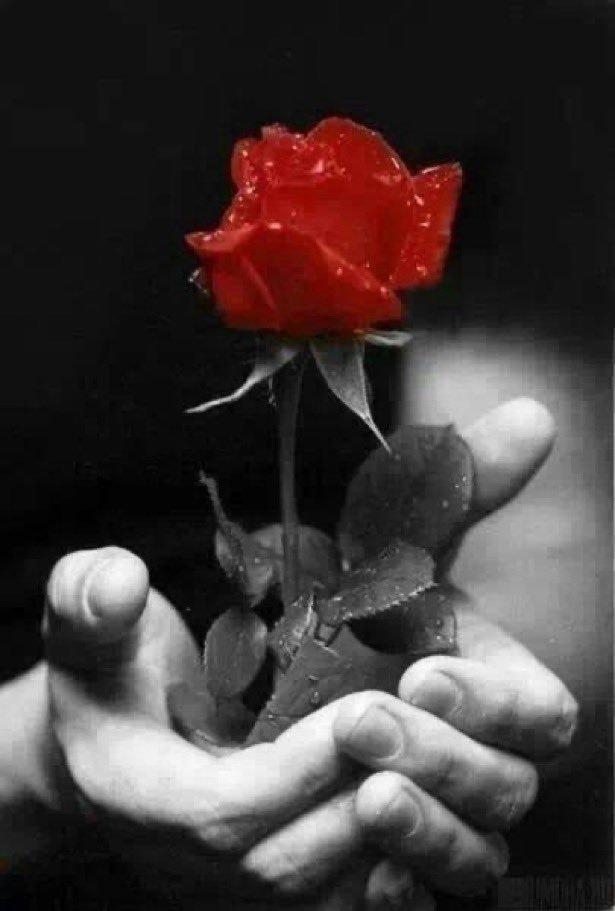 FilippoFogly's tweet photo. @DolceRagazza26 Grazie sempre molto dolce   😘 https://t.co/kVjMZesbTK