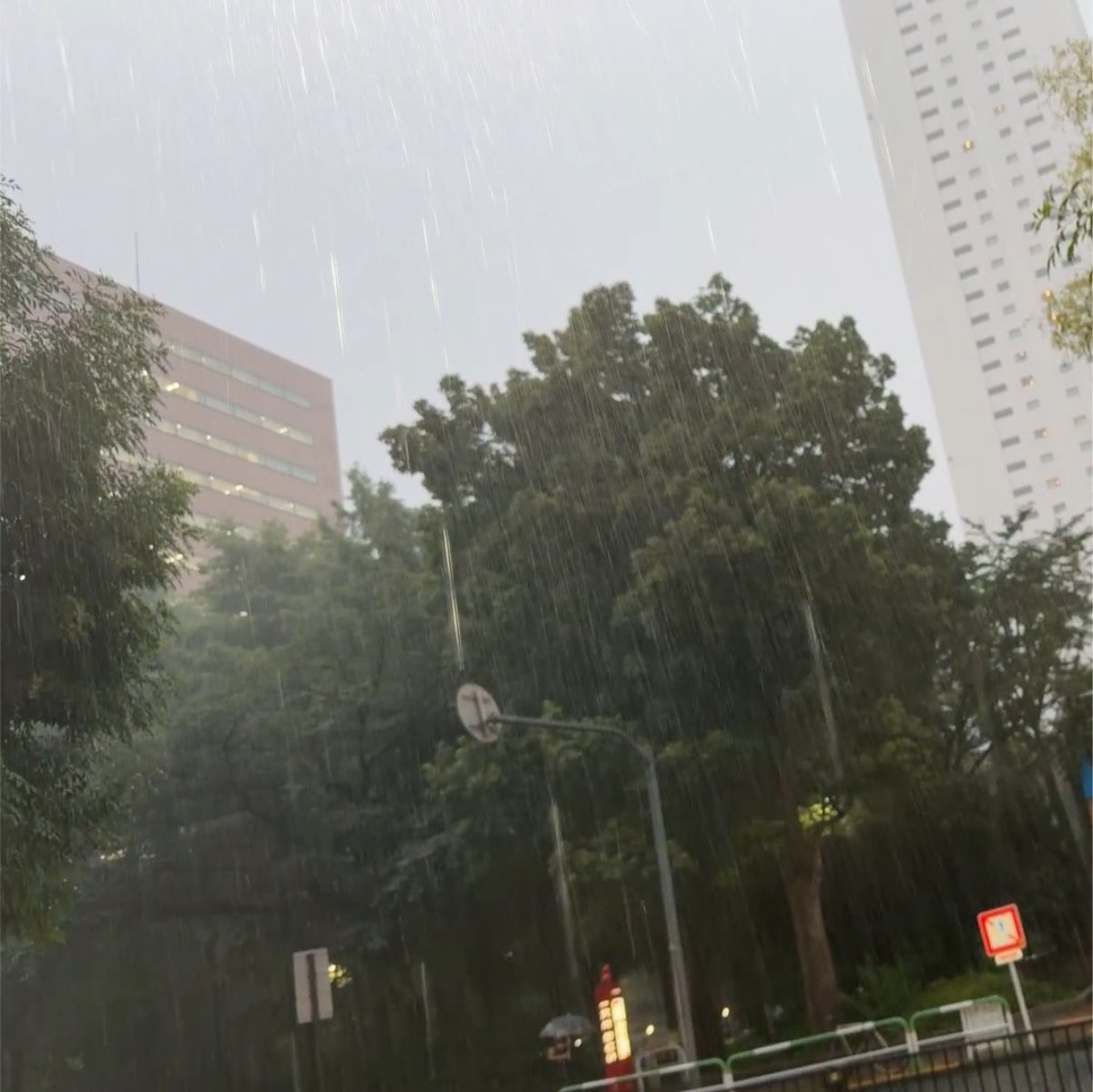 uuuuuroncha__'s tweet photo. 思い出①バケツをひっくり返した様なゲリラに打たれびしょ濡れになる
思い出②シワシワのムーちゃん見たさに頼んだがちょいシワ
思い出③自席から見えた絶対領域
思い出④テーブル濡れてるのに気づかず✝️を湿らせる https://t.co/VafGG36xFj