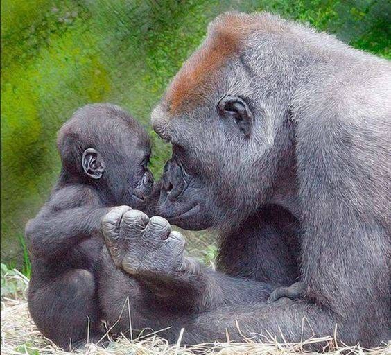 KamMukai's tweet photo. attachment seems biological, yet it feels like a programmed response. are we simply bound by chemistry? https://t.co/voplYWPXAV