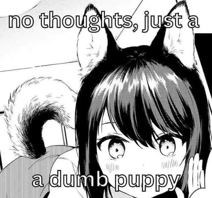 Willowfoxxo's tweet photo. Awrf Arf Bark Bark! :3 https://t.co/pMgjv6wNTu