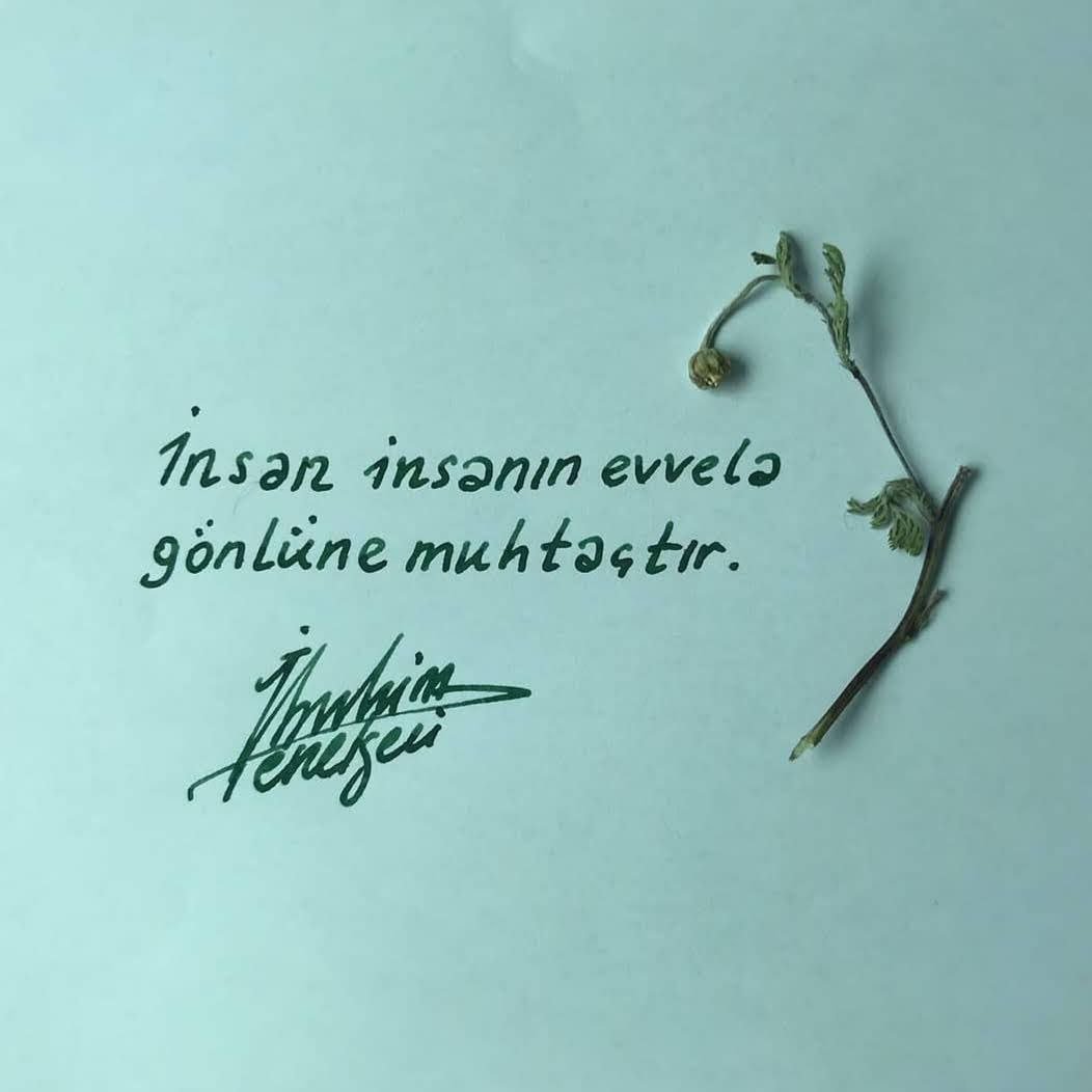 teslimiyetx's tweet photo. https://t.co/J7HpEUzT37
