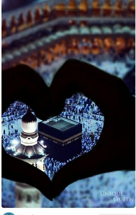 Mali17811Ali's tweet photo. *🪷ان منزلوں پر خوش ہو جاؤ جو اللہ نے تمہارے لیے چُنی ہیں*
 *پھر وہ تمہیں ان منزلوں تک خود ہی لے جائے گا جن تک تم پہنچنا چاہتے ہو،*
*🪷بس تمہارا یقین اور تمہاری دعائیں ہی تمہارا مقدر بدلتی ہیں۔*💯
#اردو_زبان
#الجمعة https://t.co/SIR1QL3gZh
