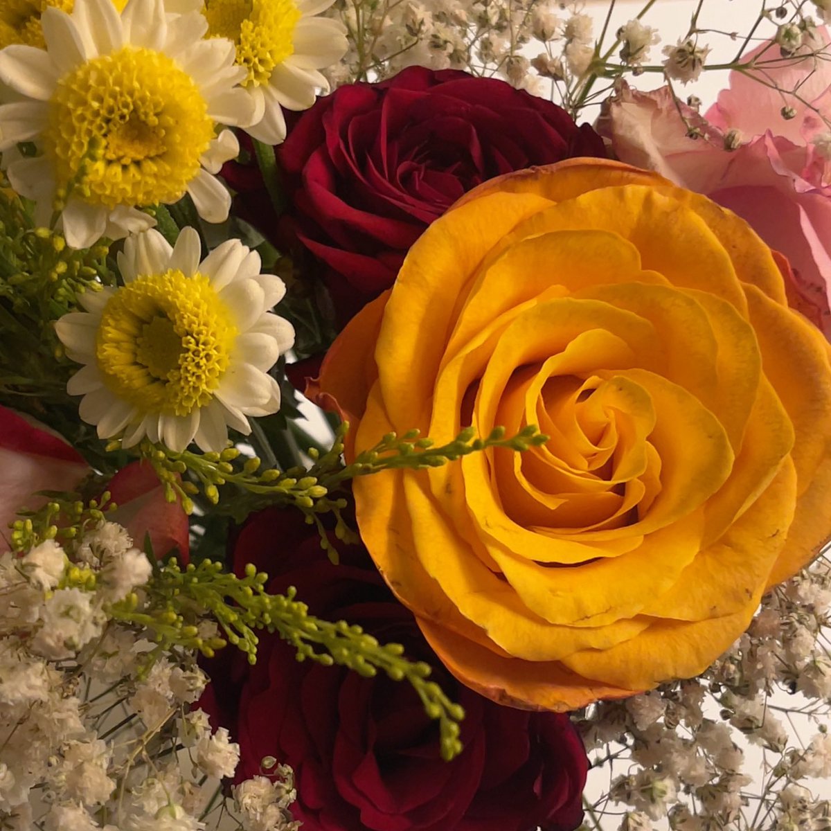 rex__921's tweet photo. أطهر من الورد و أعذب من مياه المزون 
هي ا��لي لو زرعنا عشبةٍ أثمرت فِـ كفوفها. https://t.co/zSoj9EwnyD
