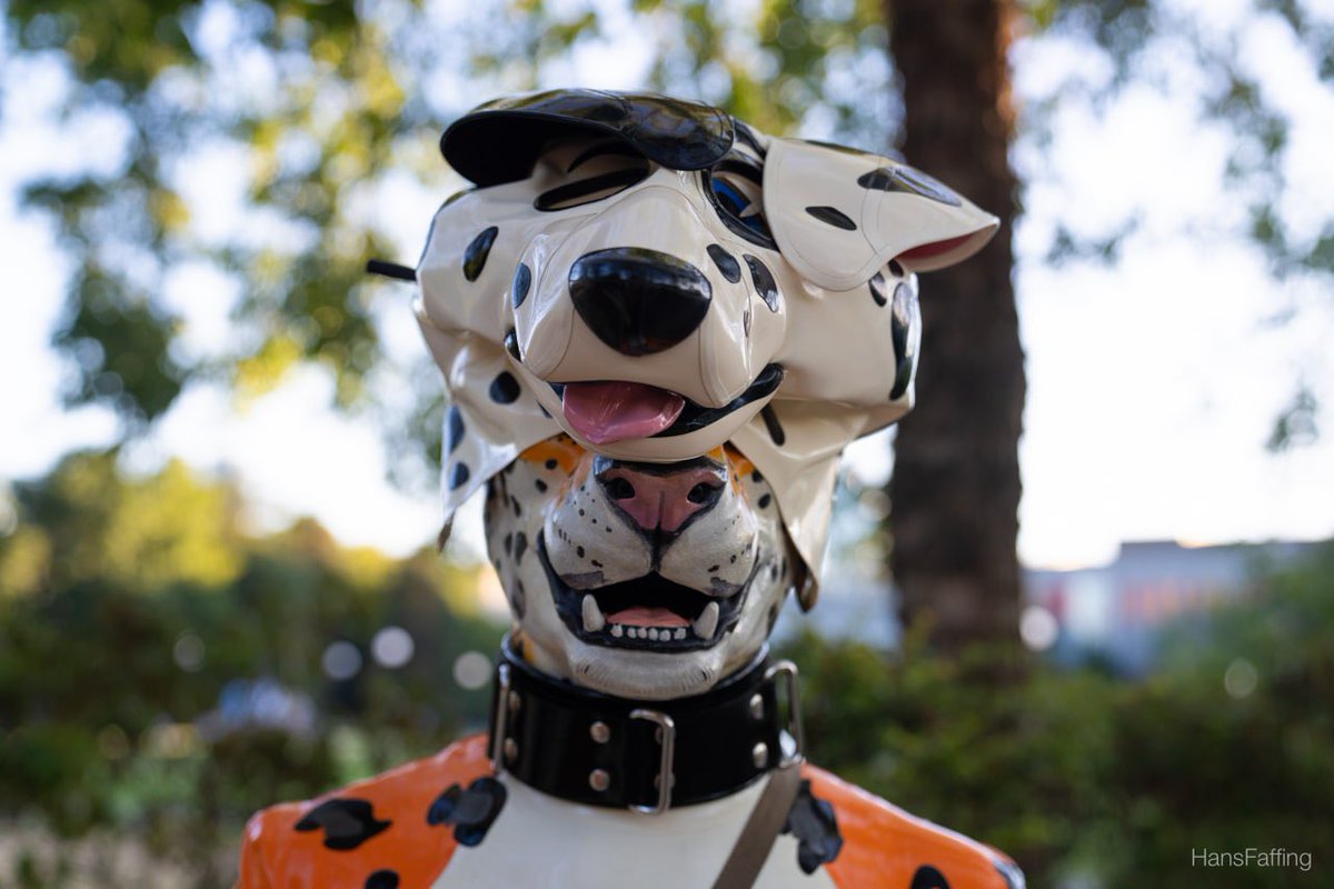 Rubberfeathers's tweet photo. “Am I doing it right?”

📸 @HansFaffing https://t.co/jYPEjc1Kil