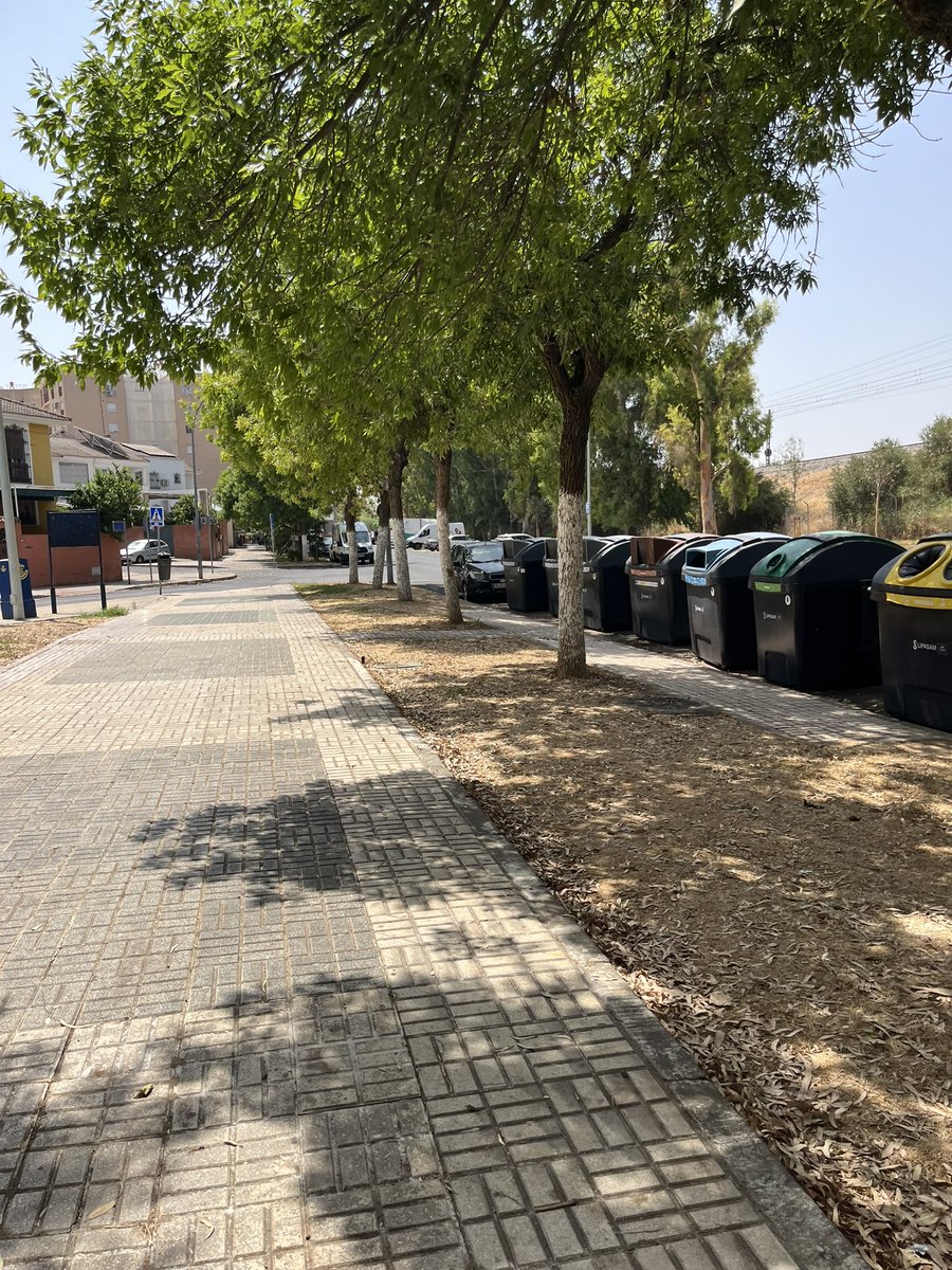 ire28282's tweet photo. ⚠️Avisos ignorados por @Ayto_Sevilla @jlsanzalcalde para puesta en marcha de riego de arbolado y zonas verdes en Jardines de Eden, sin funcionar desde hace meses. Esperareis a daños irreversibles y la muerte de los ejemplares para su posterior tala? @Sevillasucia @salvatusarboles https://t.co/gsIrFZLQqe
