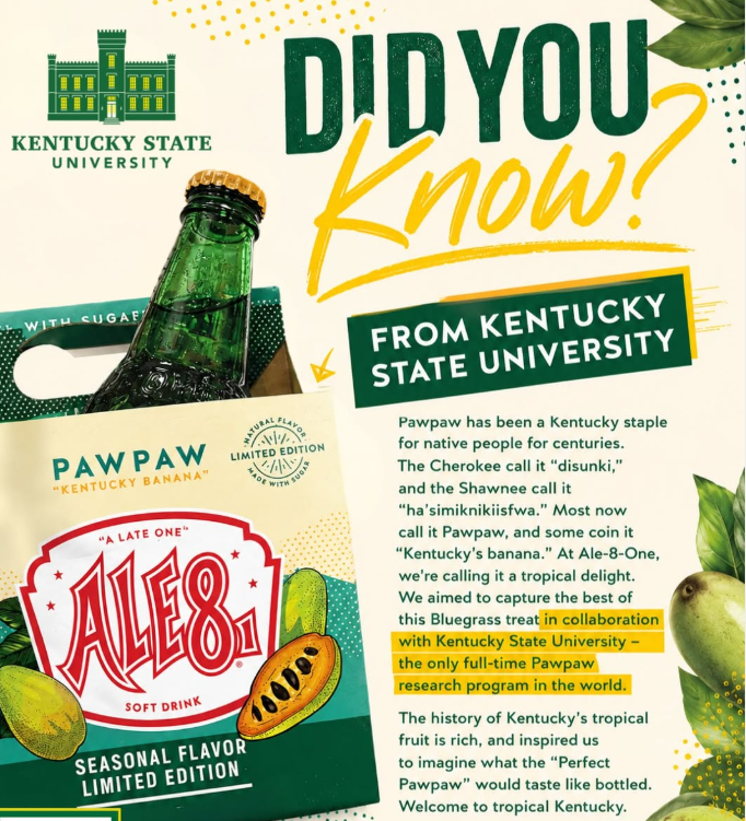 KyStateU's tweet photo. Did you know? In collaboration with @Ale8One, Kentucky State is bringing KY's native pawpaw to the spotlight.

Home to the world’s only full-time pawpaw research program, KSU continues to lead the way in pawpaw research, innovation, and education.

 #PawpawResearch #KentuckyProud https://t.co/VOtUO7kgFF