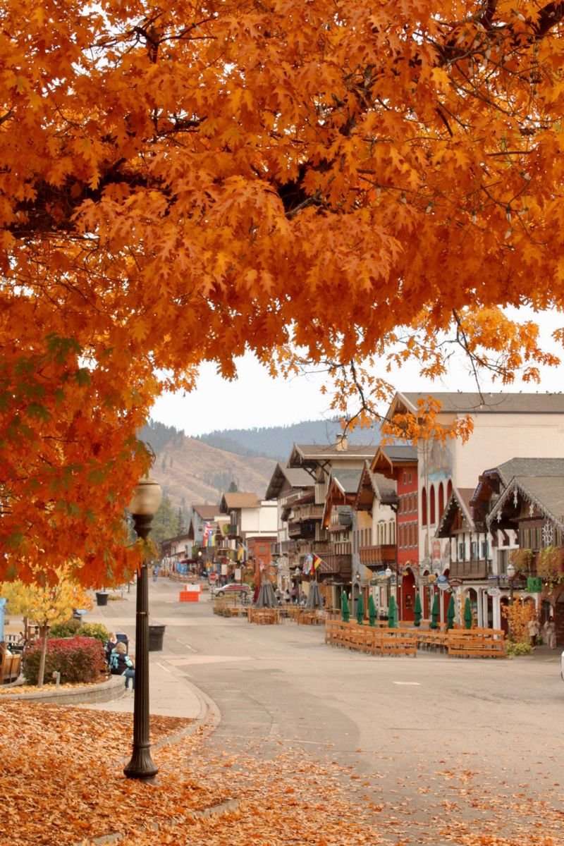 plaventoapp's tweet photo. This is your sign to take the scenic route.
Leavenworth, Washington
#Washington #WeekendEscape #ExploreAmerica #Plavento https://t.co/xOa4DqTLK8