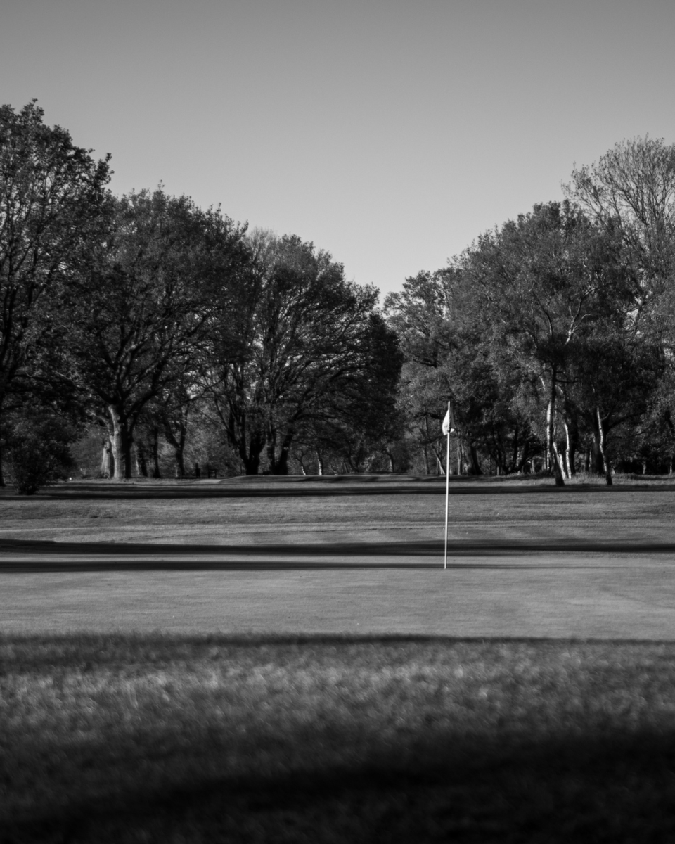 OltonGolfClub's tweet photo. Our course, stunning in its usual leafy green tones, is just as striking in black and white. https://t.co/G3lbtAiRJ2