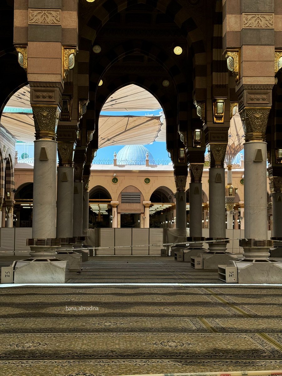 hana_almadina's tweet photo. اللهم المدينة .. نورها وسرورها ورزقها والمتسع في أرضها ، الله طيبة الطيبة لا نبغي عنها حولا https://t.co/hsRW9y5B2N
